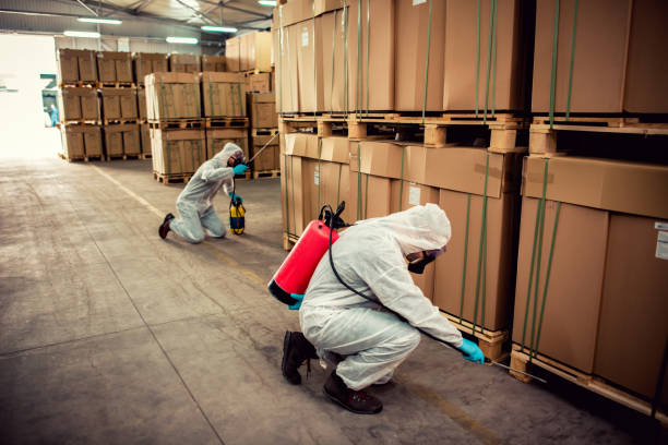 Best Best Pest Control Companies  in Fox Crossing, WI