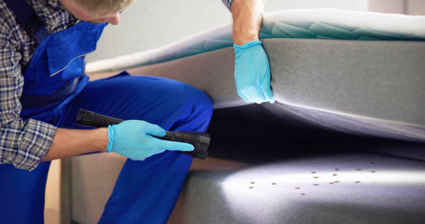Best Affordable Pest Control Services  in Fox Crossing, WI