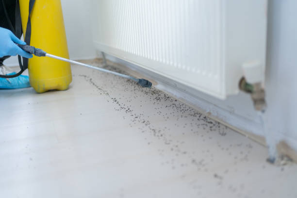 Best Mosquito Control Services  in Fox Crossing, WI
