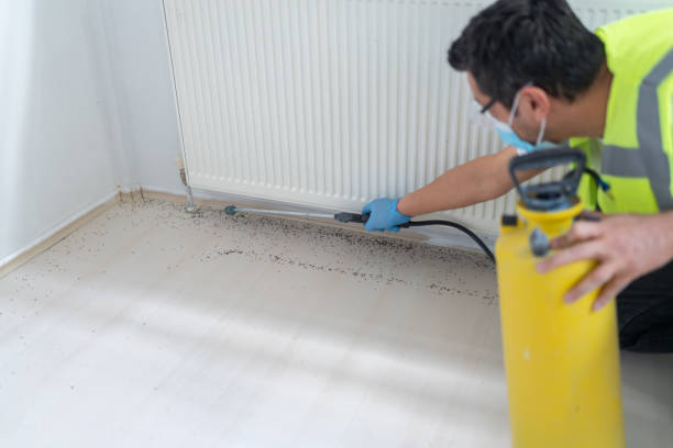 Best Pest Control for Businesses  in Fox Crossing, WI