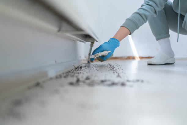 Best Pest Inspection Near Me  in Fox Crossing, WI