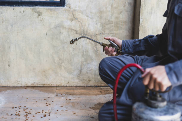 Best Local Pest Control Services  in Fox Crossing, WI